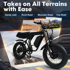 ORLMS E5-1 fat tire electric bike on mixed terrain