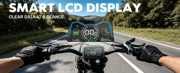 ORLMS E5-1 color LCD display