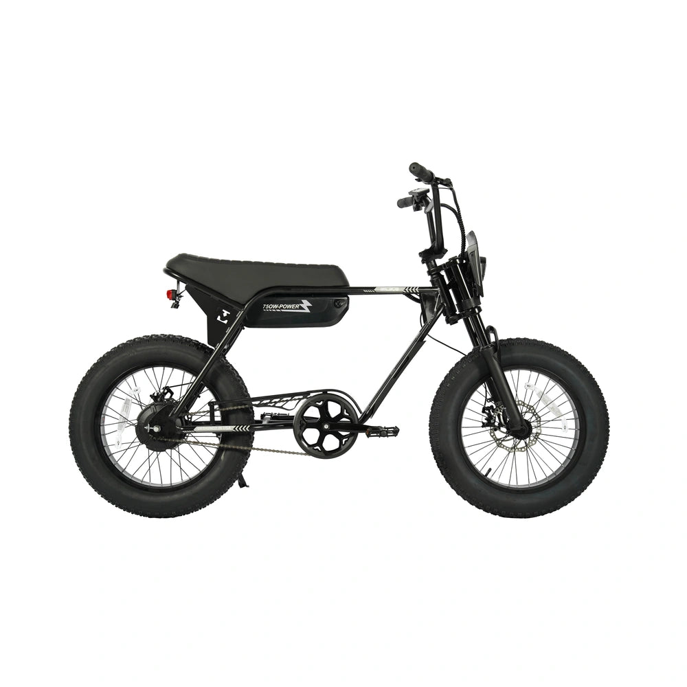 ZUMI ATV02 Fat Tire Electric Bike - zumi atv02 fat tire electric bike 01 dsc04678