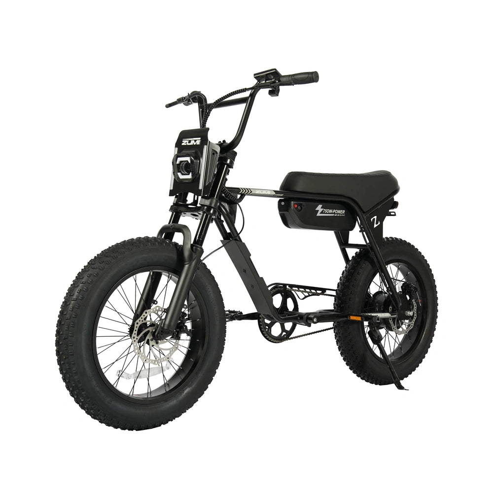 ZUMI ATV02 Fat Tire Electric Bike - zumi atv02 fat tire electric bike 02 dsc04639