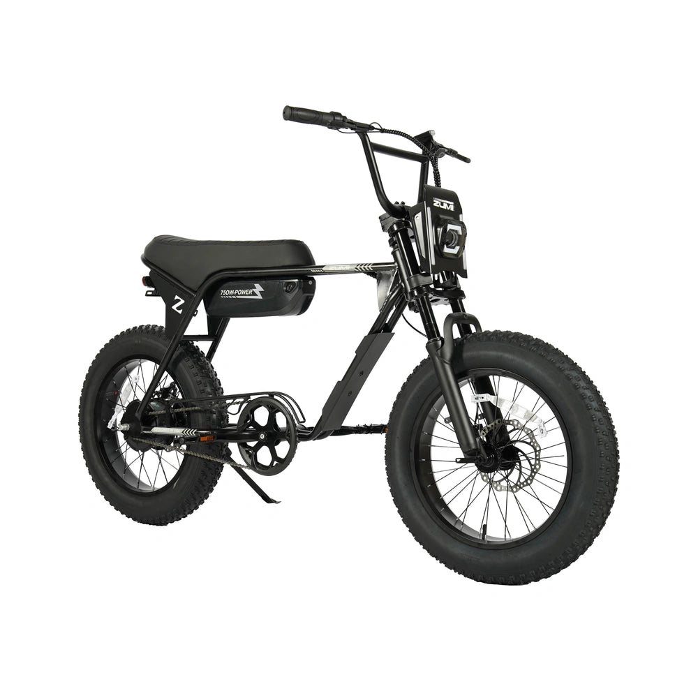 ZUMI ATV02 Fat Tire Electric Bike - zumi atv02 fat tire electric bike 03 dsc04672