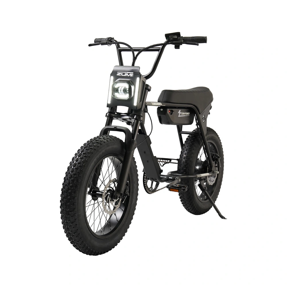 ZUMI ATV02 Fat Tire Electric Bike - zumi atv02 fat tire electric bike 04 dsc04735