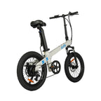 ZUMI S011 Folding Fat Tire Electric Bike - zumi s011 folding fat tire electric bike 09 dsc04992